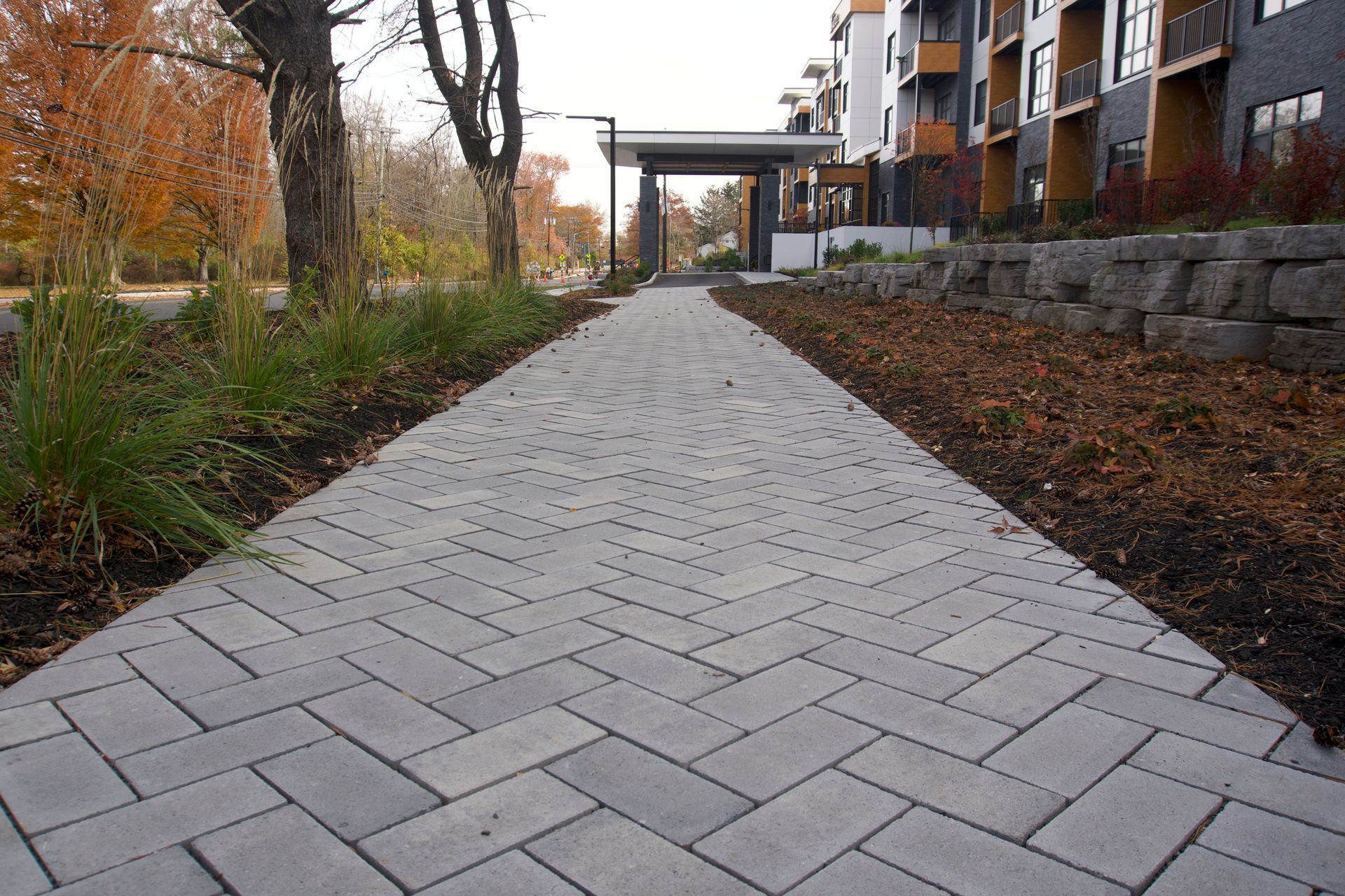 Paved pedestrian walkway lined with trees and buildings in autumn Paved pedestrian walkway lined with trees and buildings in autumn