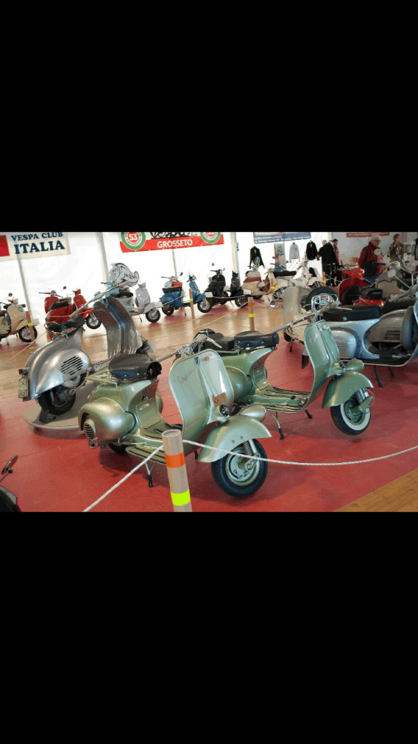 Vespe in esposizione