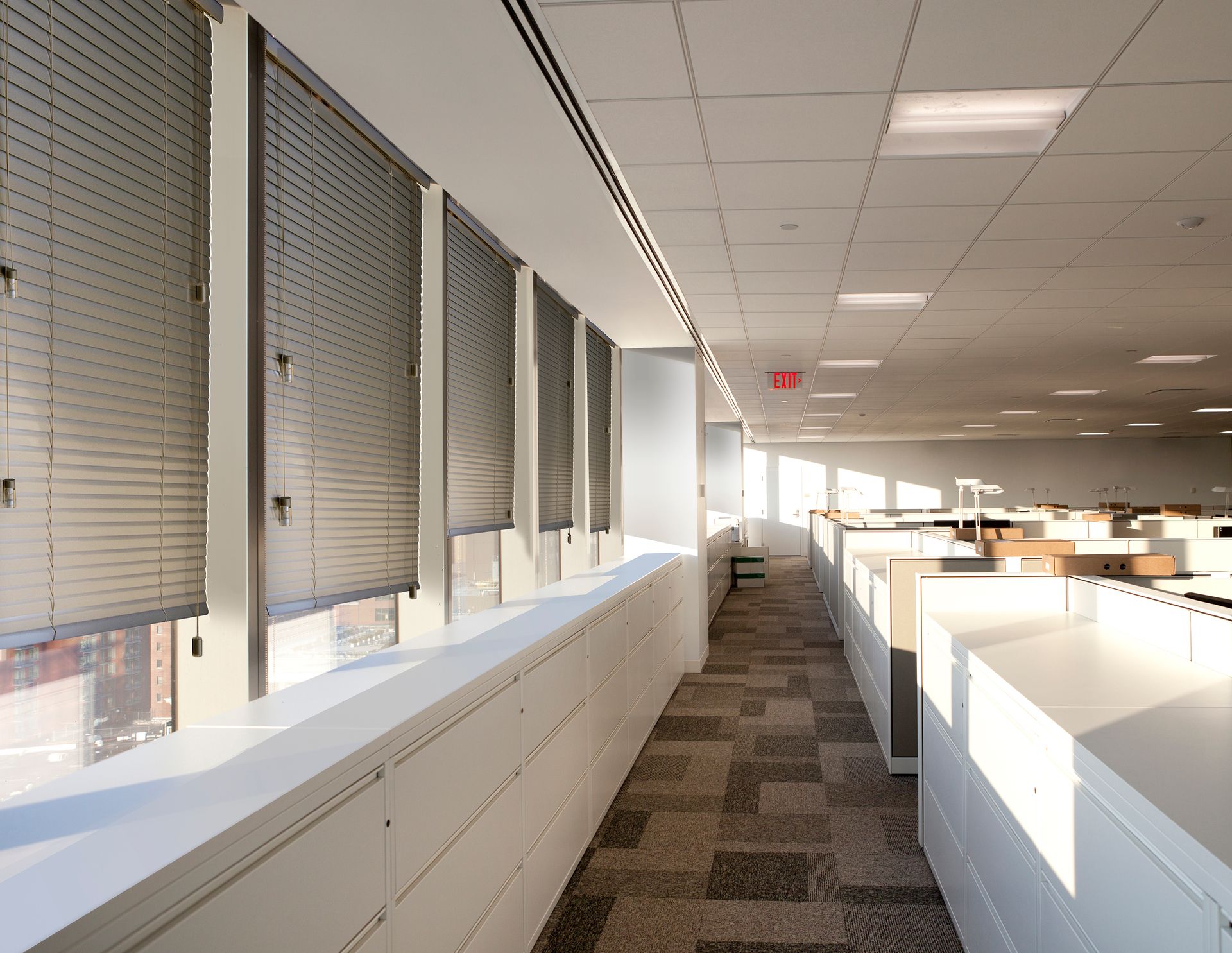 Office hallway with windows, blinds, and cubicles. Sunlight streams in.