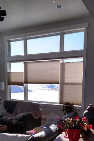 Large window with tan cellular shades, letting sunlight into a living room with a couch and flowers.