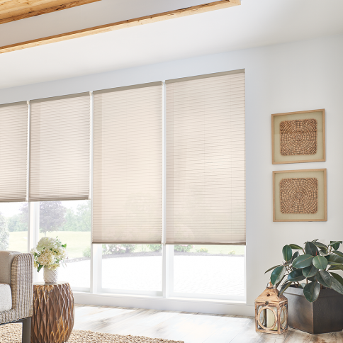 Beige cellular shades on a large window in a bright room, with wall art and a potted plant.