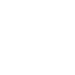 White phone icon