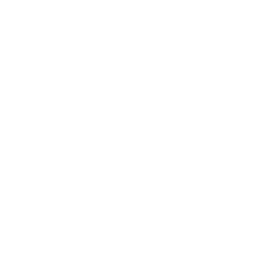 White location pin icon