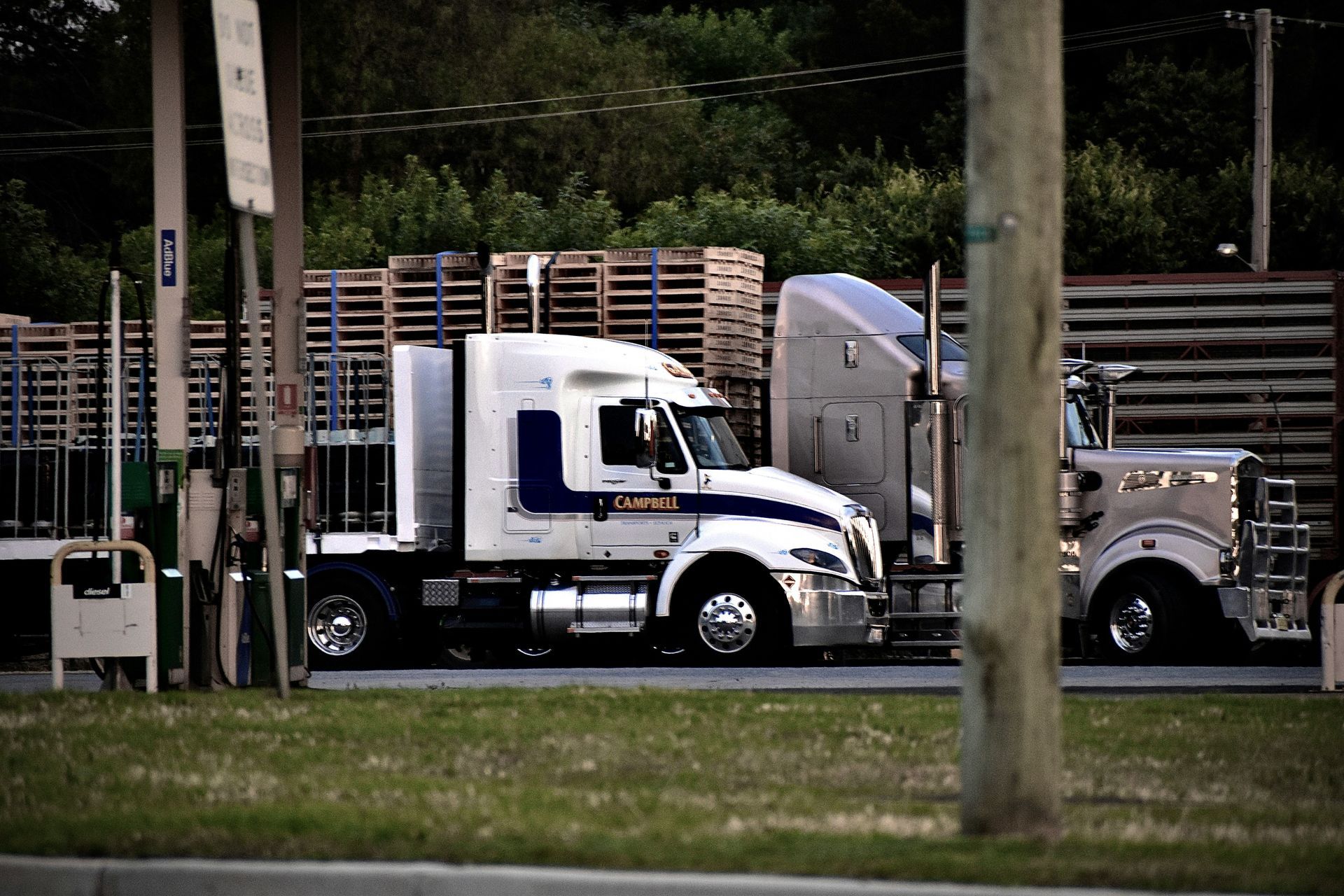 Two semi-trucks parked near pallets and greenery, one white and blue, the other gray.