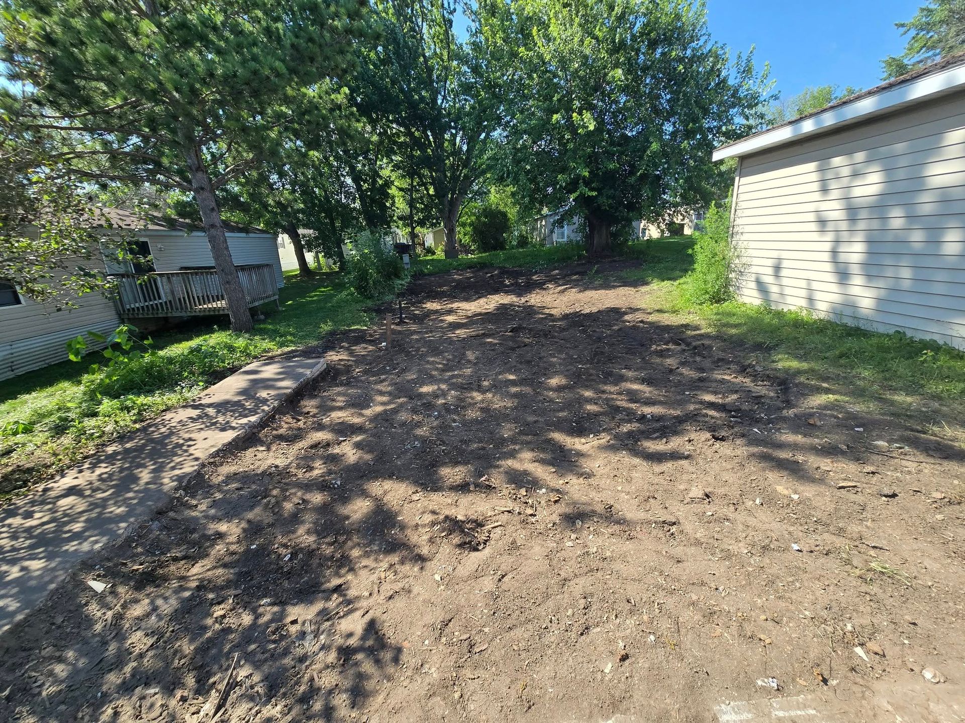 A patch of bare dirt in a yard, trees and a building in the background. Sunlight casts shadows.
