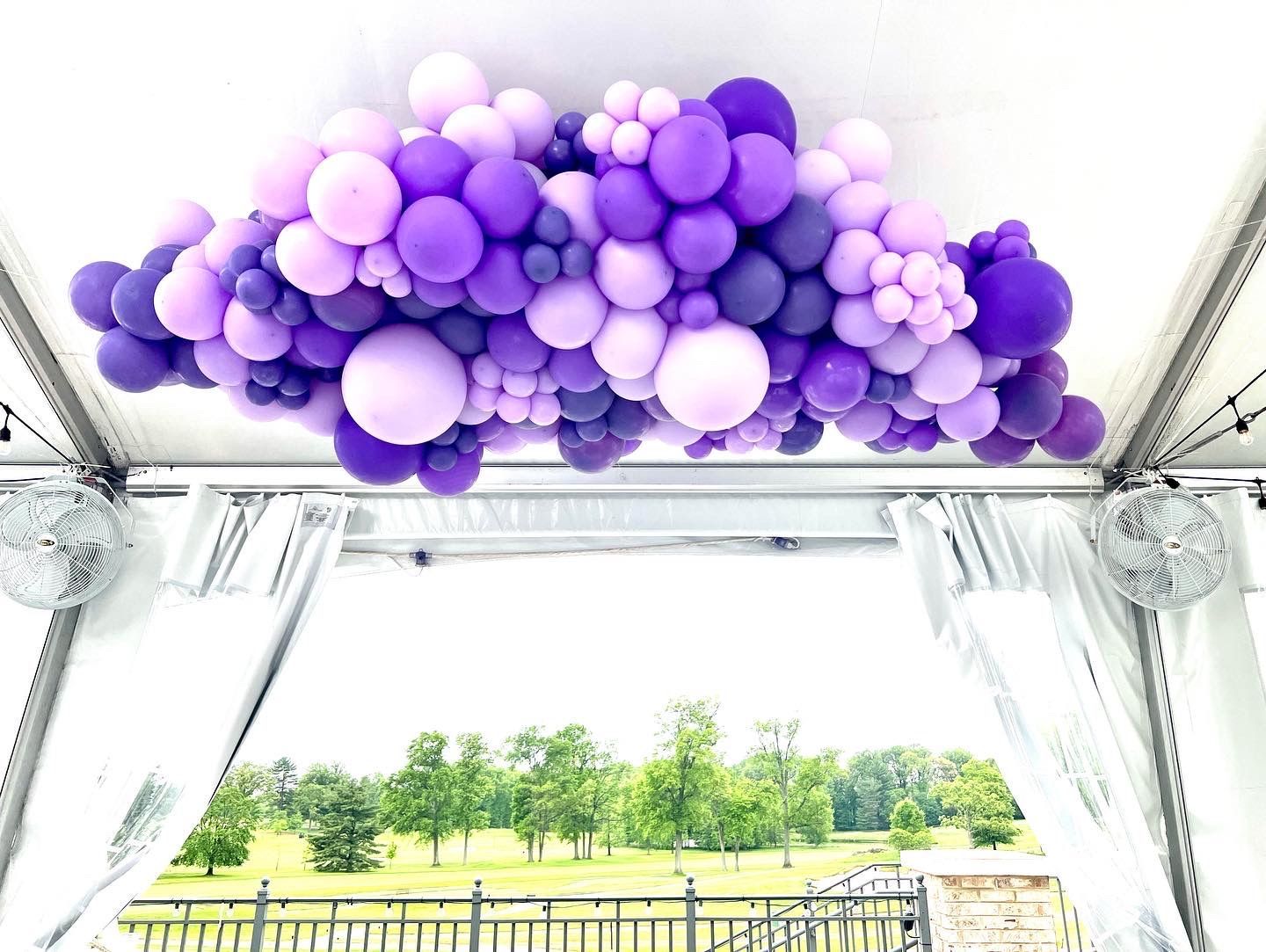 Purple and pink balloons are hanging from the ceiling of a tent.
