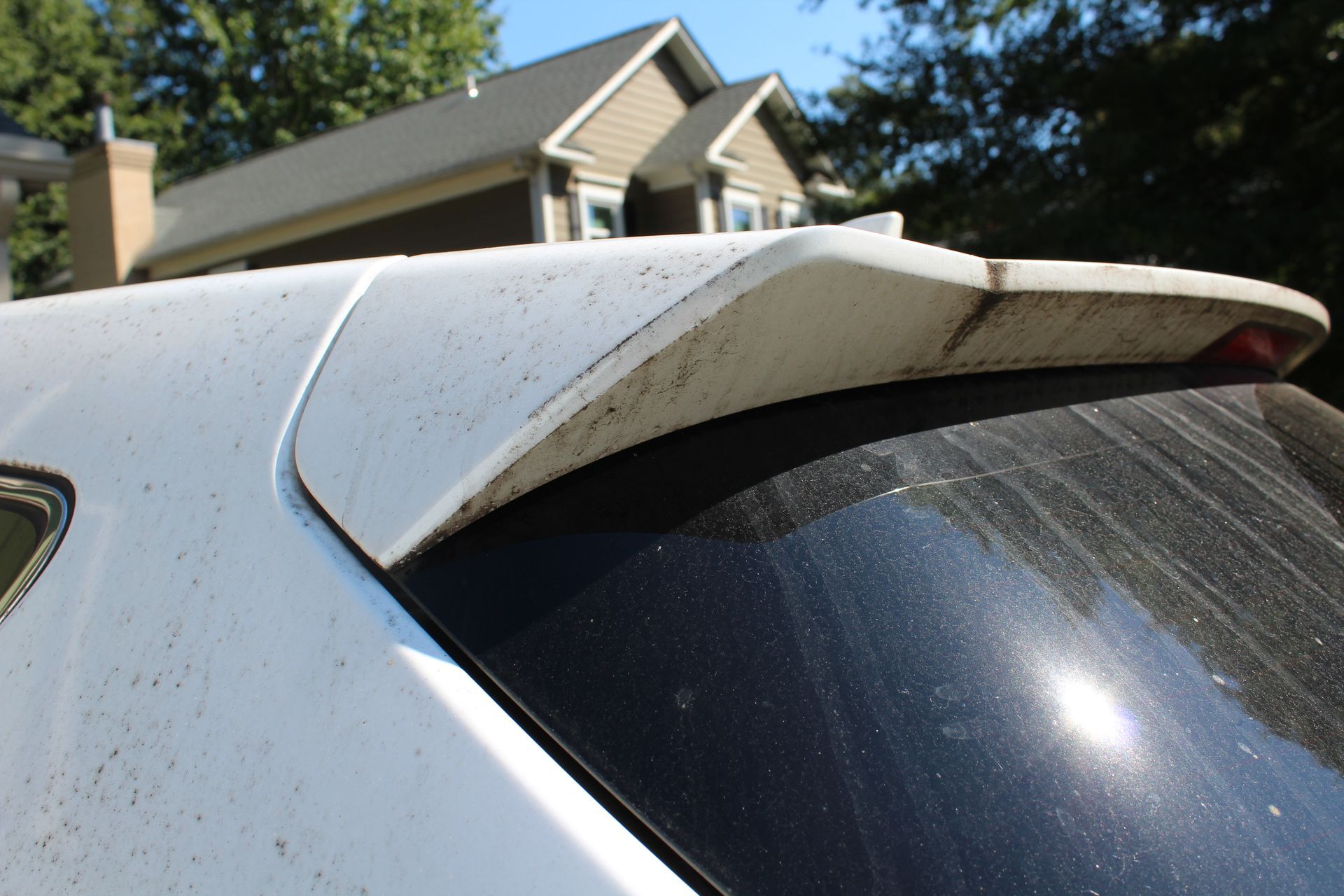 White car rear spoiler and window covered in dirt. A house is in the background.