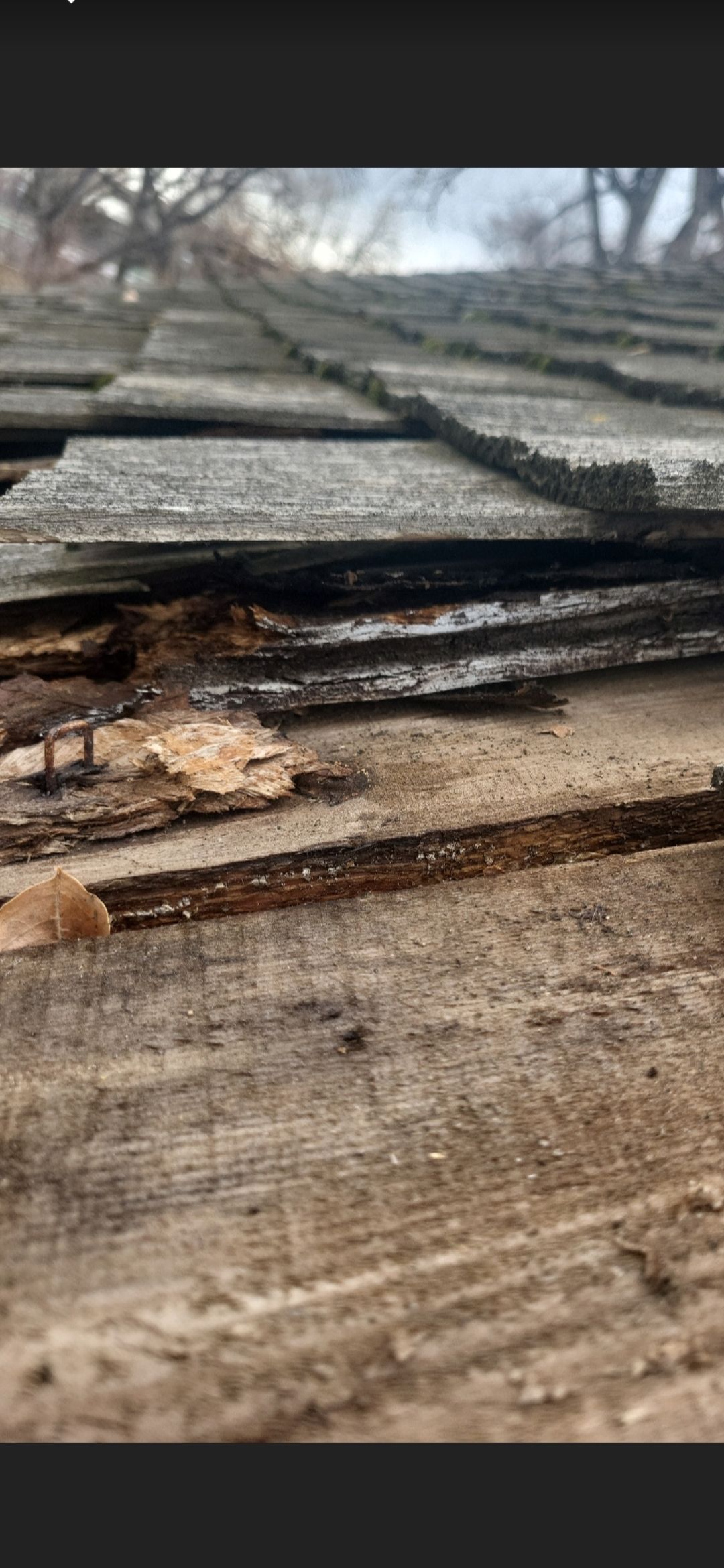 Close-up of a damaged, old shingle roof with visible wood rot.