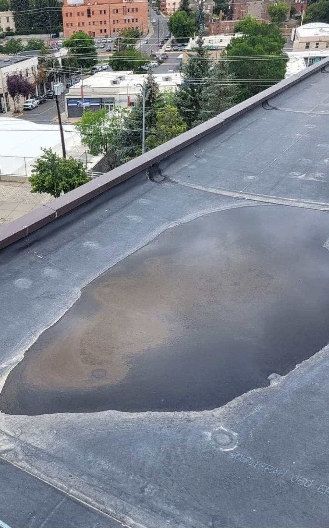 Puddle of water on a flat, black rooftop. Buildings and trees are visible in the background on a sunny day.