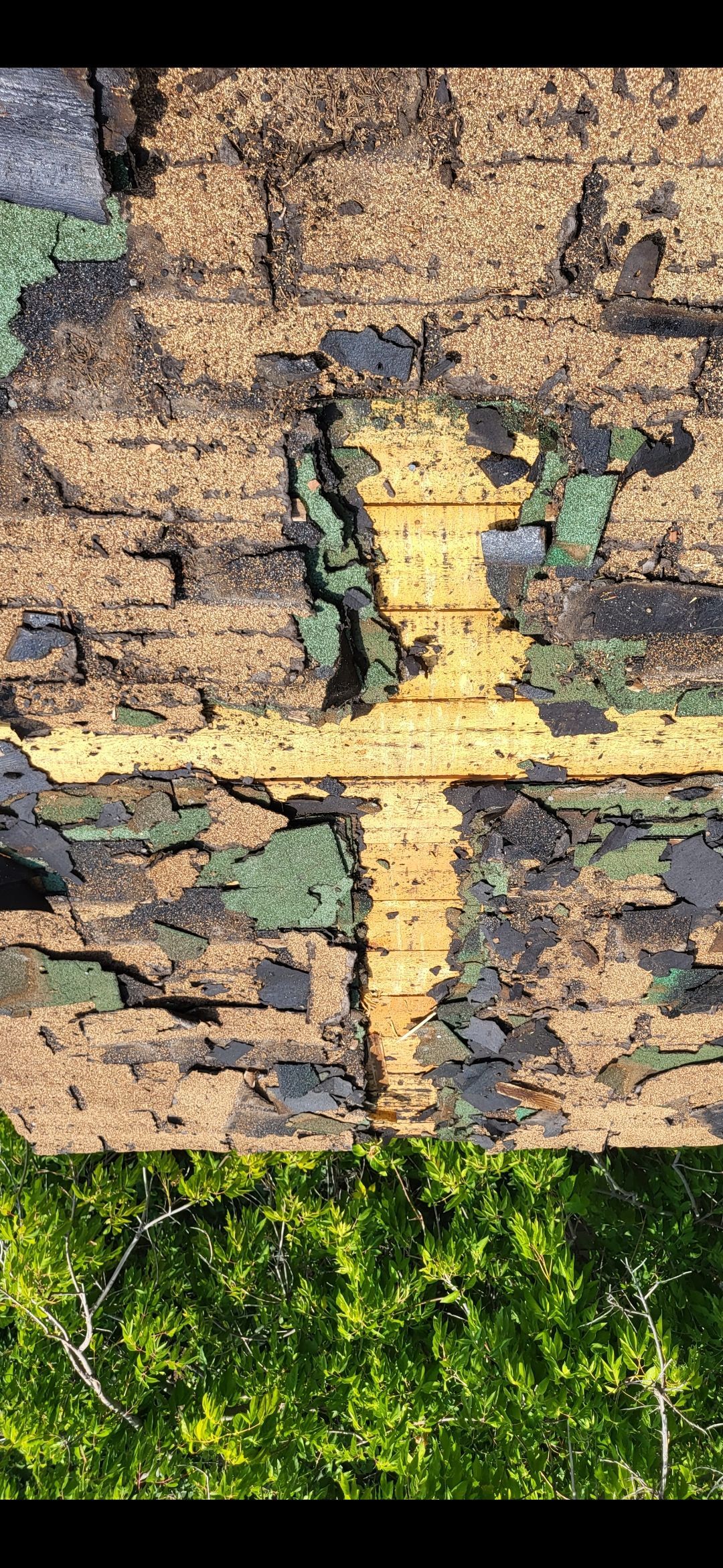 A close-up of a damaged roof with a yellow painted line, contrasted by green foliage below.