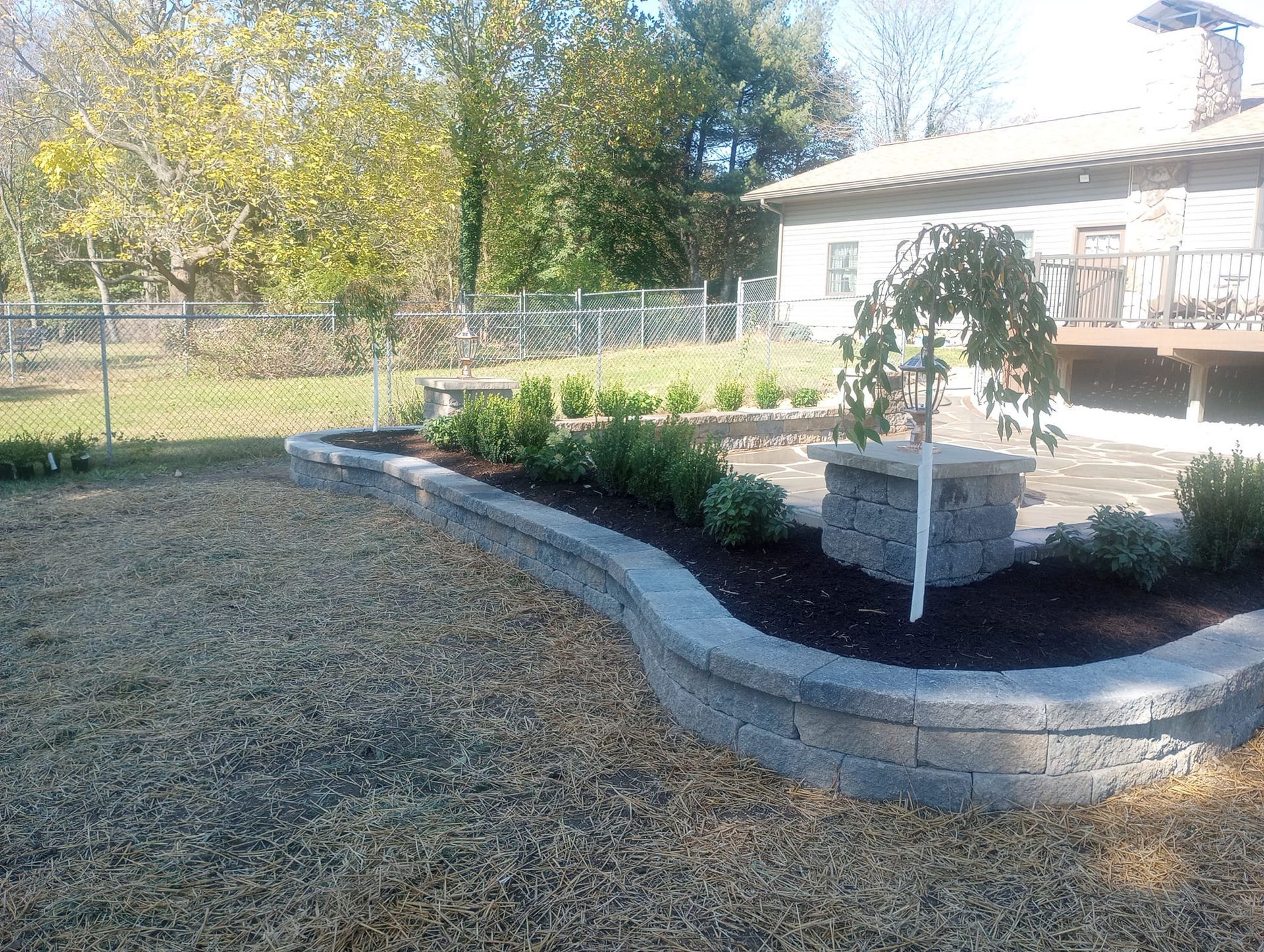 A backyard with a stone wall and a tree in the middle of it.