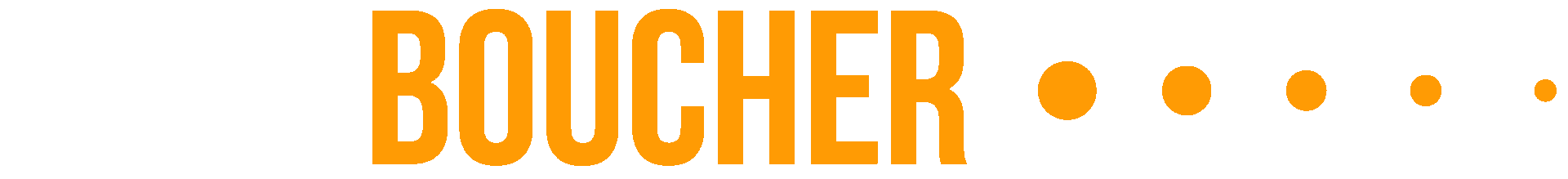 Contact - Paul Boucher Logo