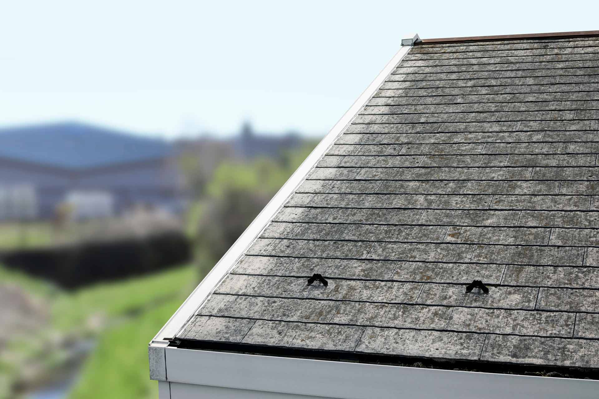 Black streaks — Milton, FL — Terry Sowell Roofing