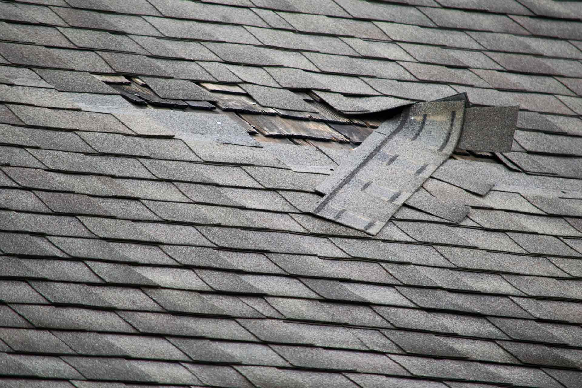 Missing shingles — Milton, FL — Terry Sowell Roofing