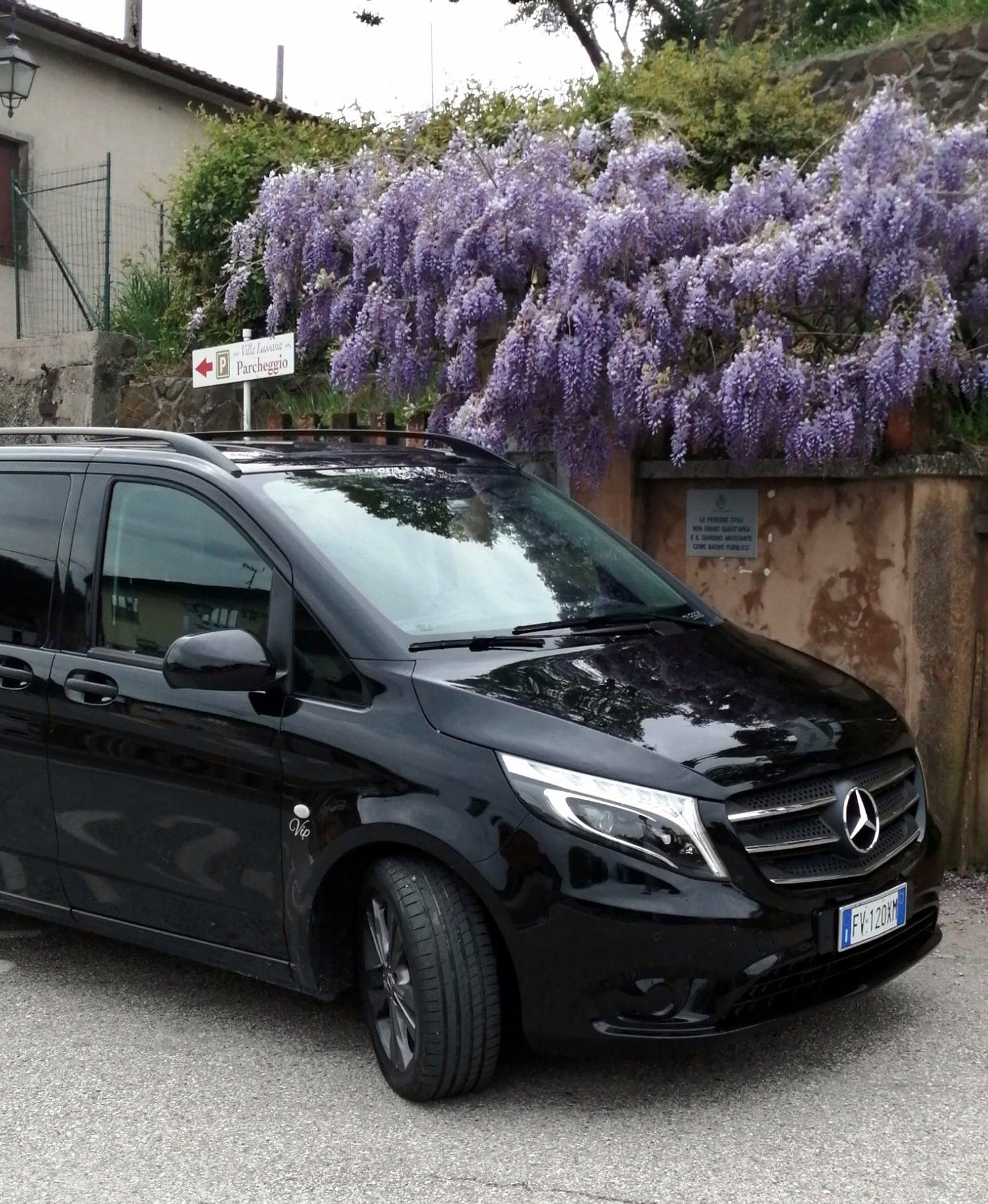 Turismo dentale a Fiume