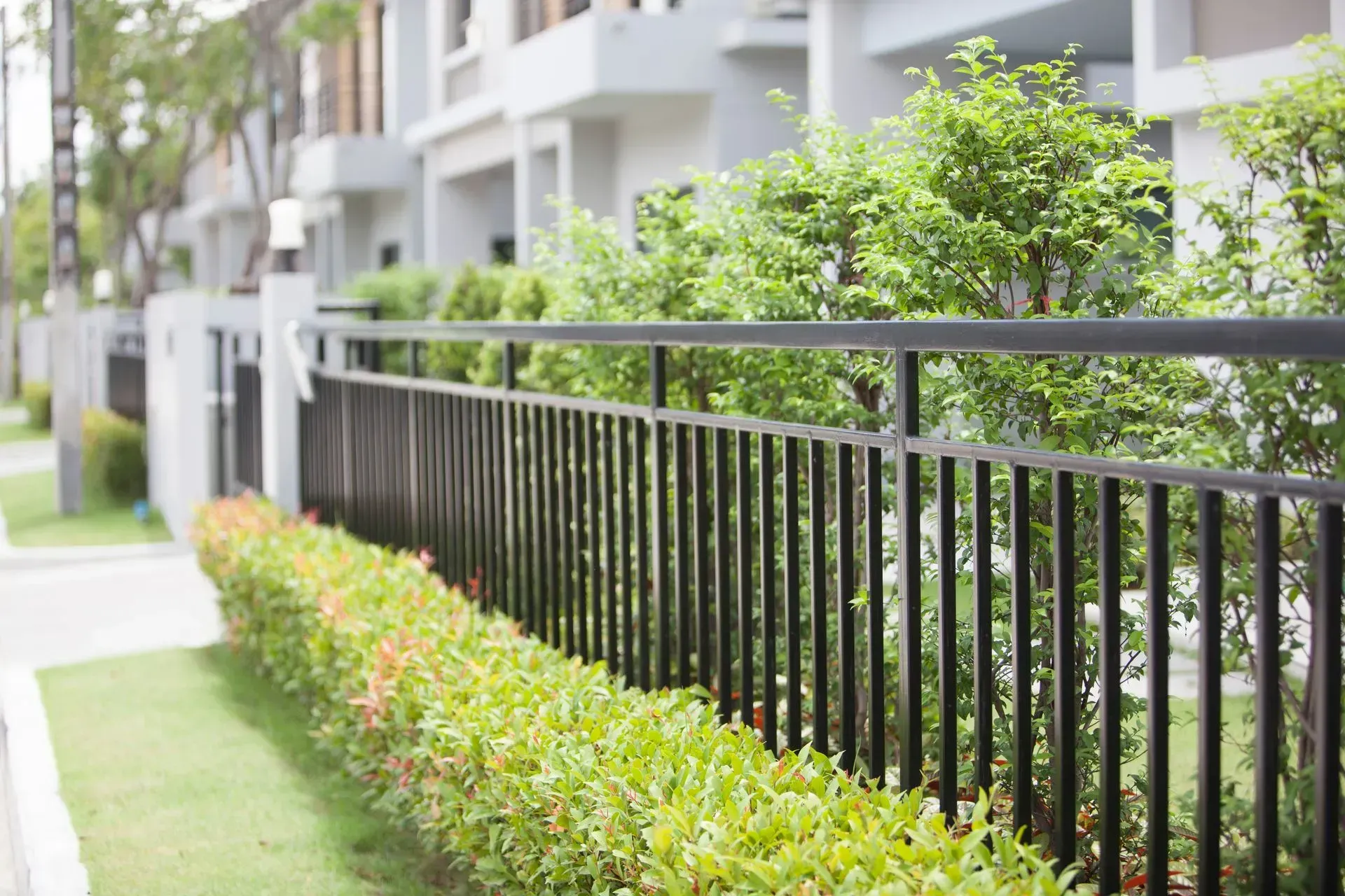 Black metal fence beside a landscaped apartment walkway with green shrubs and white buildings