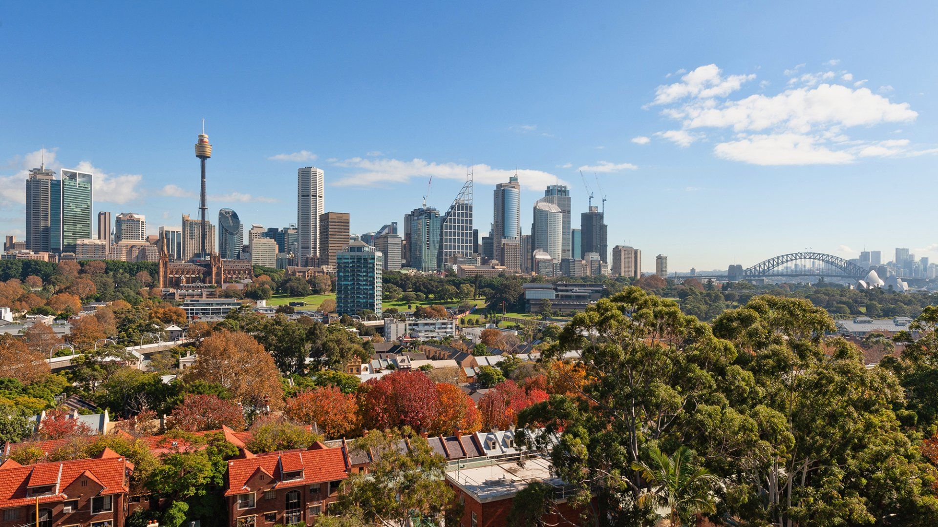Sydney Skyline Cityscape — Hornsby, NSW — Rod Yates Beekeeping