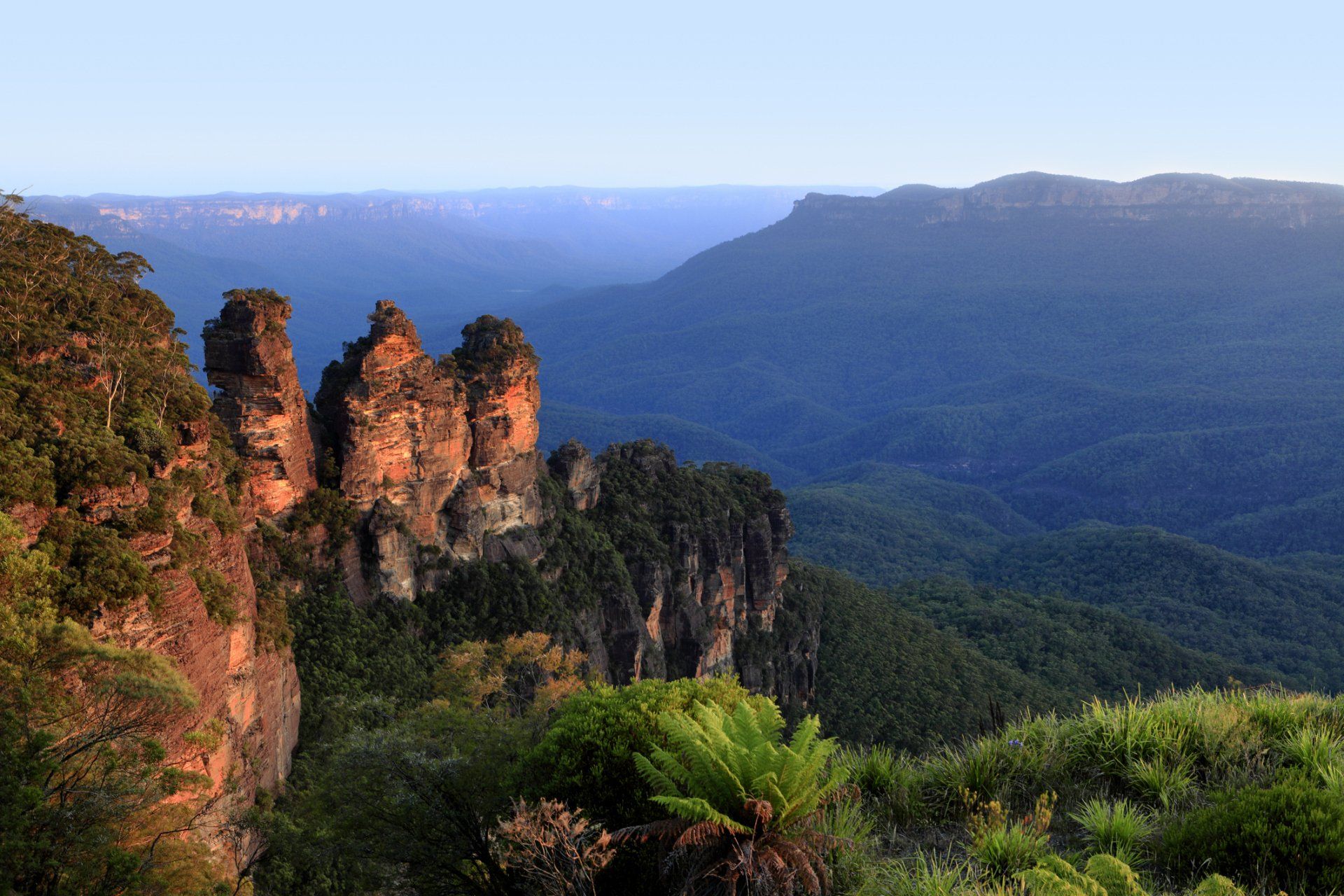 New South Wales Katoomba Three Sisters — Hornsby, NSW — Rod Yates Beekeeping