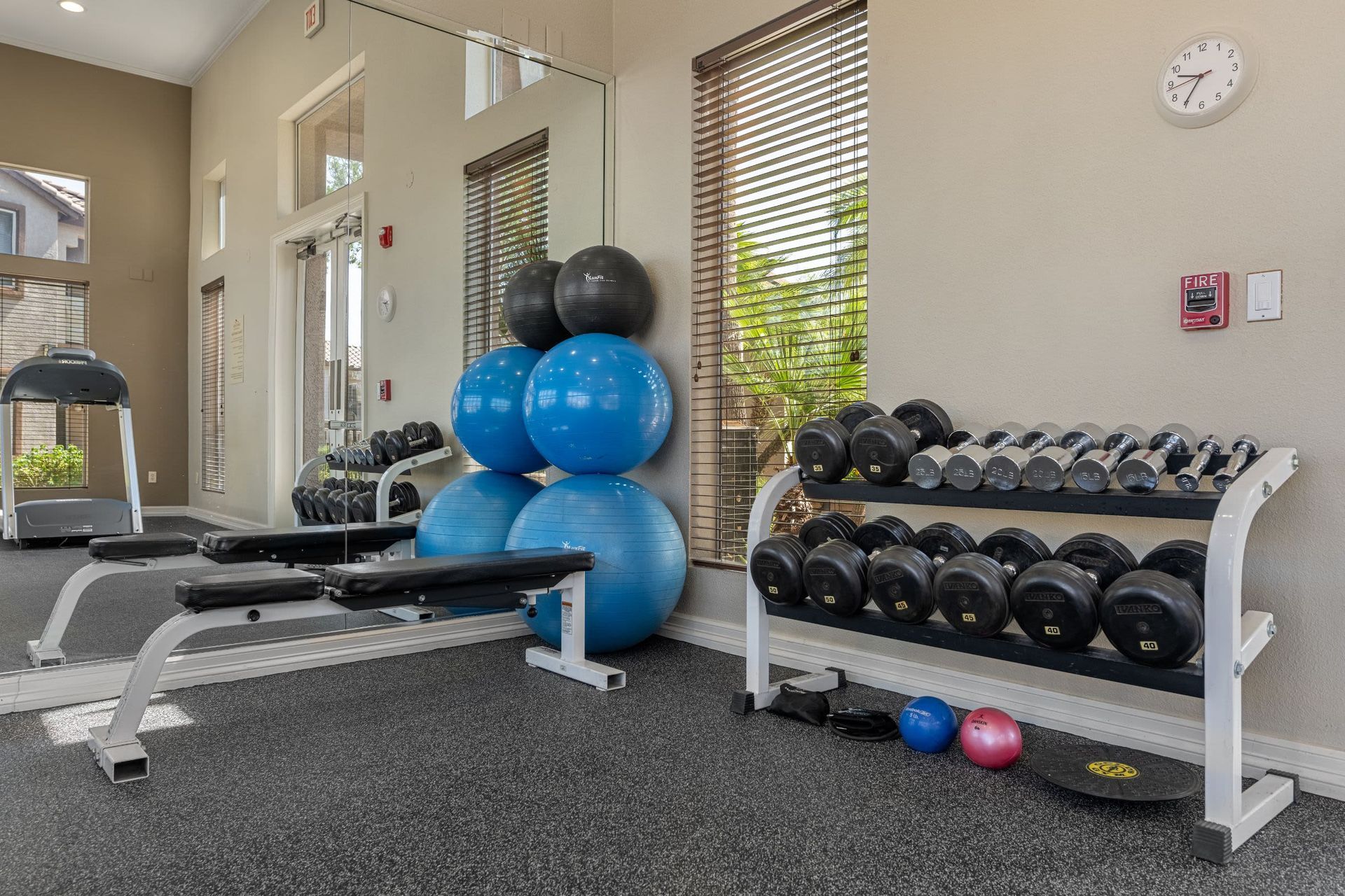 Interior of a modern gym with exercise equipment. The scene includes a weight bench, a rack of various weighted dumbbells, and multiple blue exercise balls stacked against a mirror. There's also a treadmill, a wall clock, and a fire alarm switch. Sunlight filters through venetian blinds on the windows, casting a warm, natural light across the carpeted floor at Azure Creek in North Phoenix, AZ.
