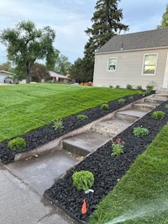 A residential front yard with a concrete staircase lined by black mulch, small green plants, and a mowed lawn.