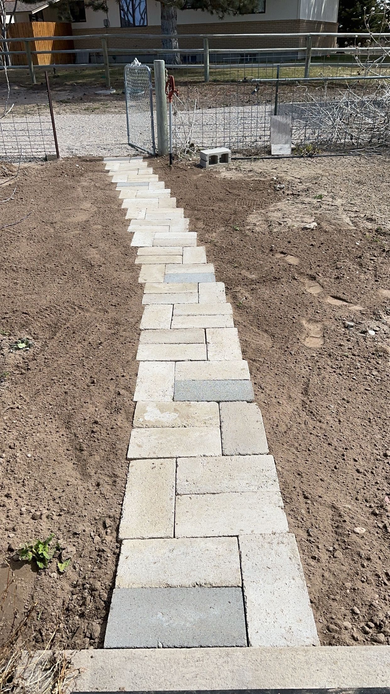 A straight garden path made of rectangular light-colored pavers leads from the foreground toward a metal gate.