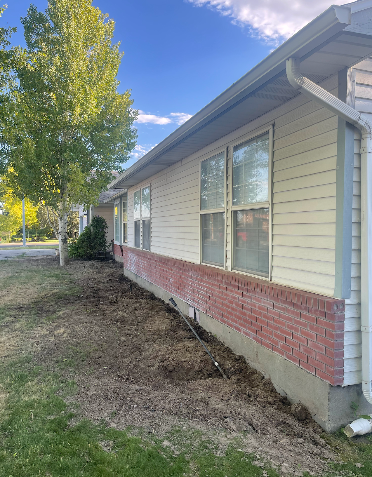 A side view of a light-yellow house with a brick foundation and windows, next to a tree and a patch of disturbed soil.