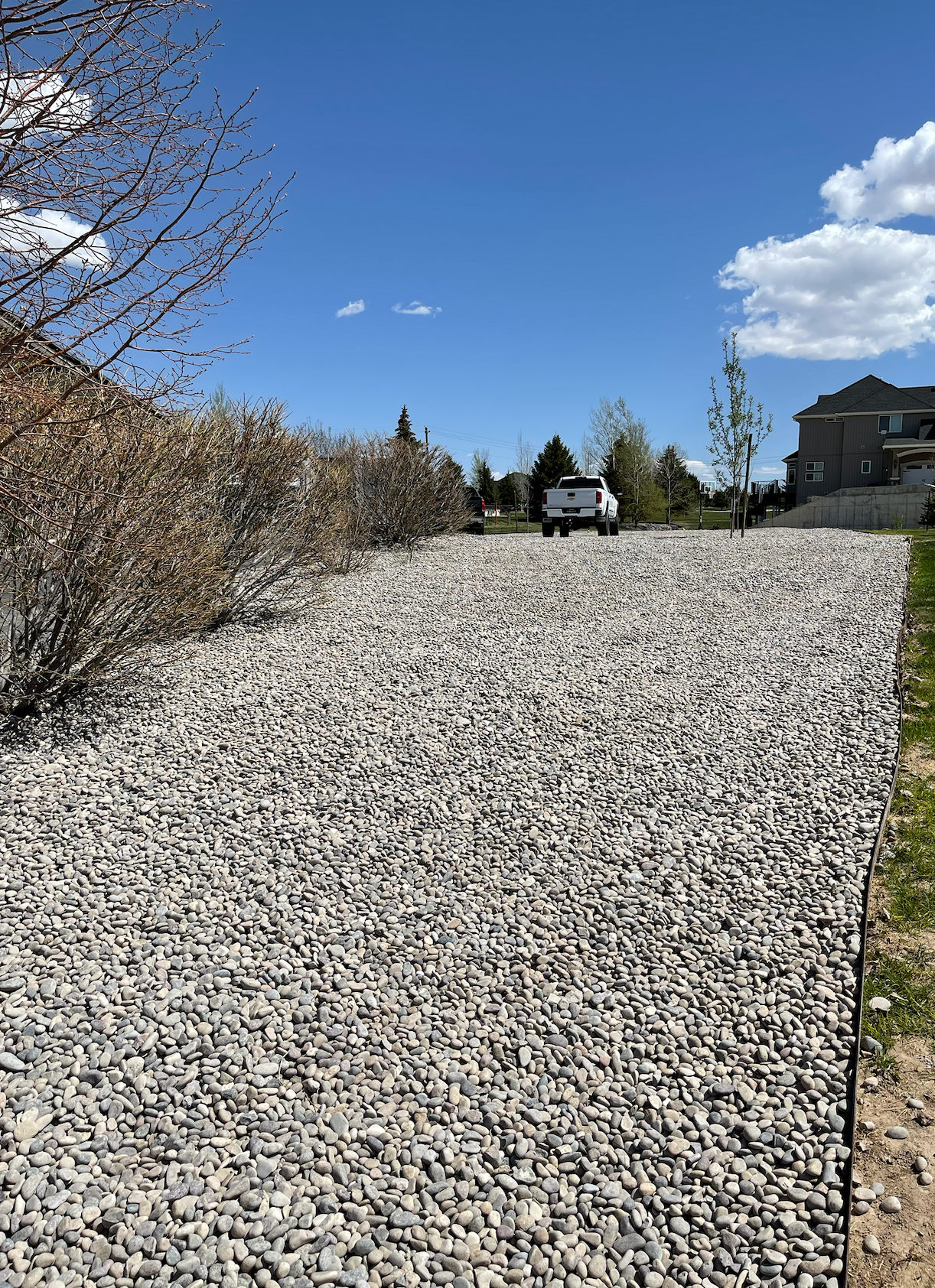 A gravel-filled driveway area borders a hedge of leafless shrubs under a clear blue sky, with a car in the distance.