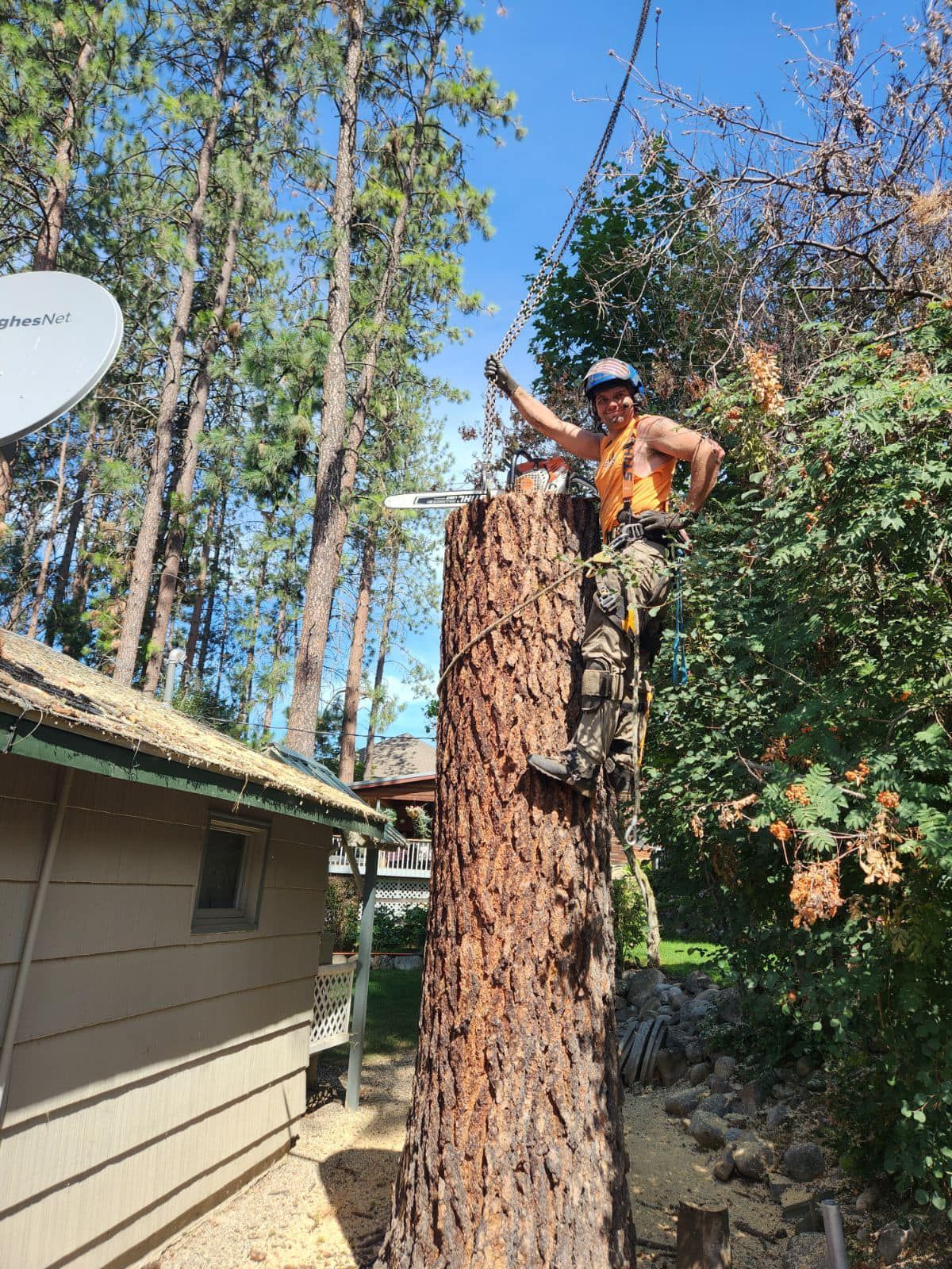Arborist on a tall tree stump, attached to a cable.  Exterior of a home, blue sky, sunny day.