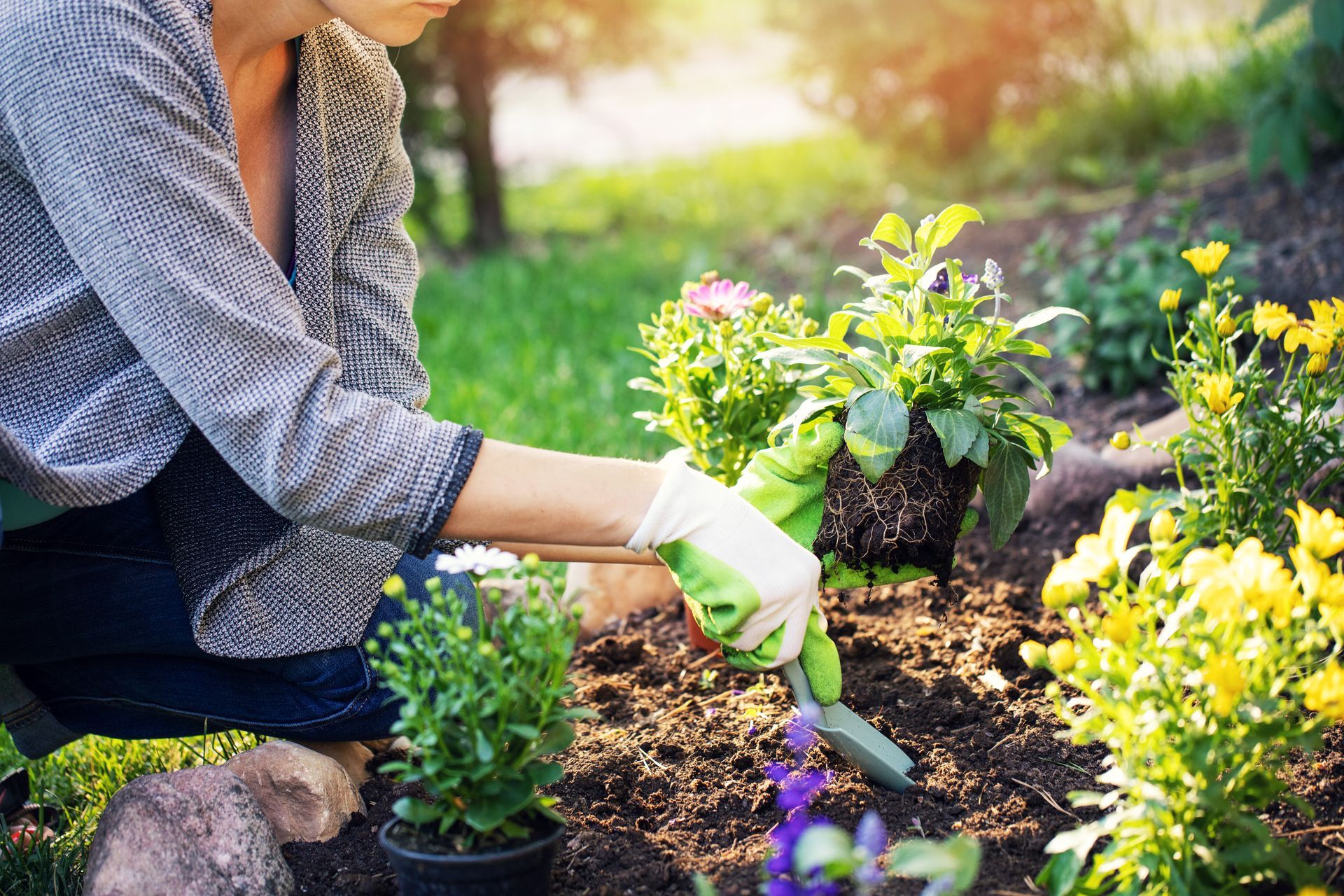 A woman is planting a flower in a garden.