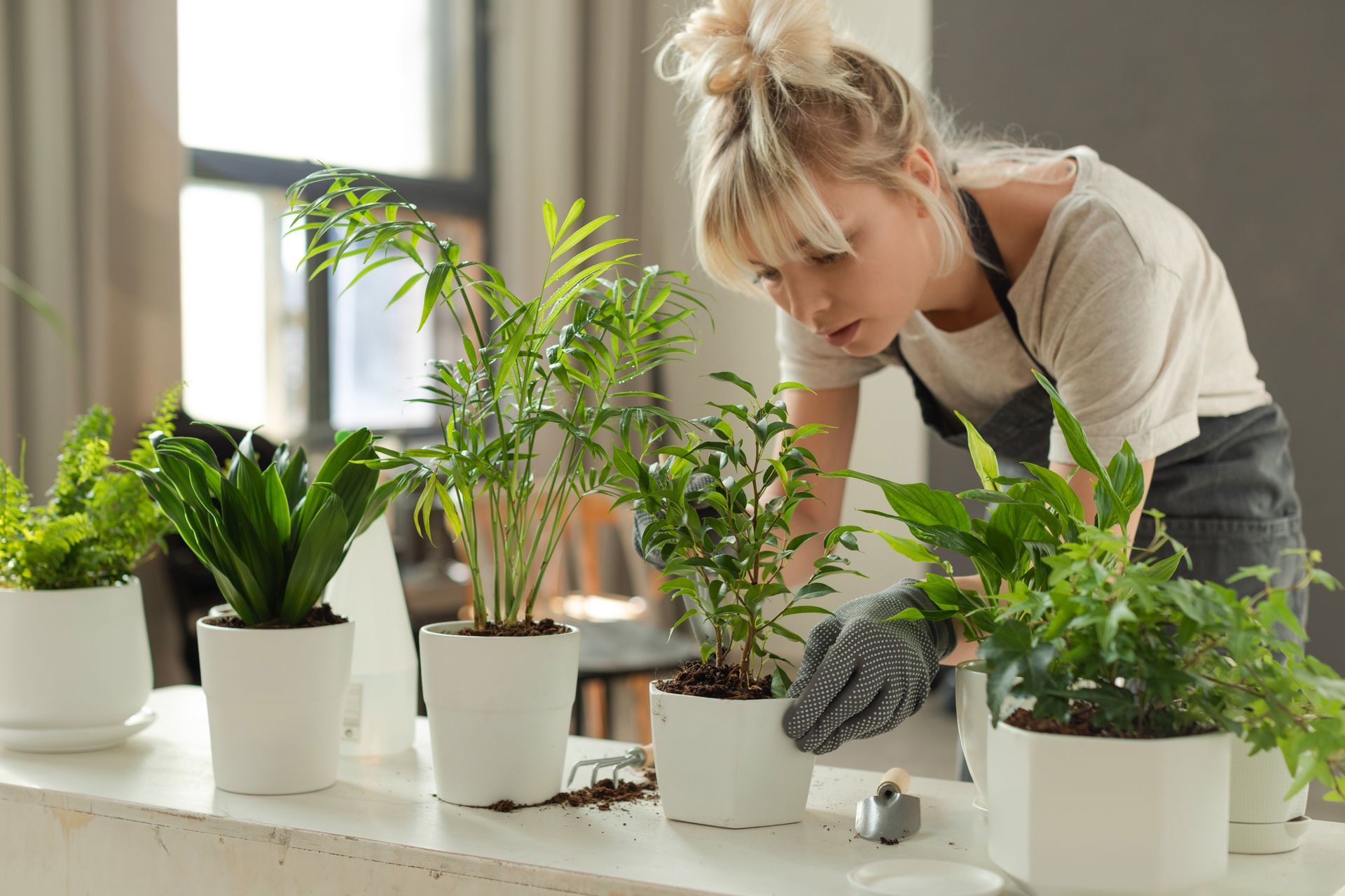 A woman is taking care of some potted houseplants.