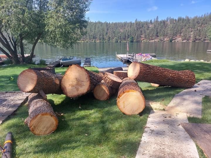 Logs on grassy lawn near a lake with boats and trees in the background.