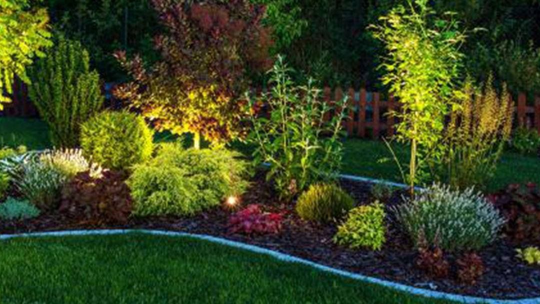 Lush garden bed with various shrubs, illuminated by spotlights. Green grass lawn and brown mulch are visible.