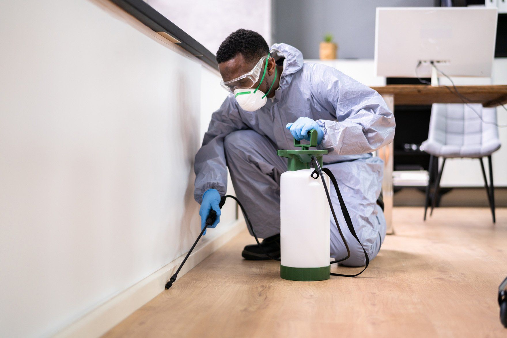 Pest control exterminator man spraying termite pesticide — Albany, GA — Seminole Pest Management