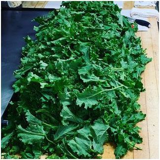 A bunch of fresh cleaned and cut broccoli rabe on a wooden table