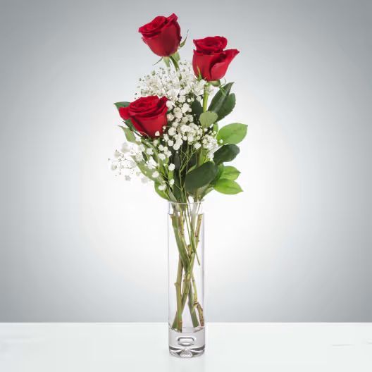 Three vibrant red roses arranged with baby’s breath and green leaves in a tall, clear glass cylinder vase.