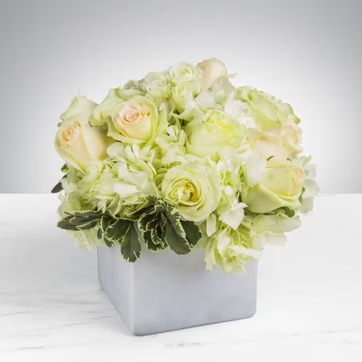 A bouquet of cream roses and green hydrangeas in a square silver vase set against a light gray background.