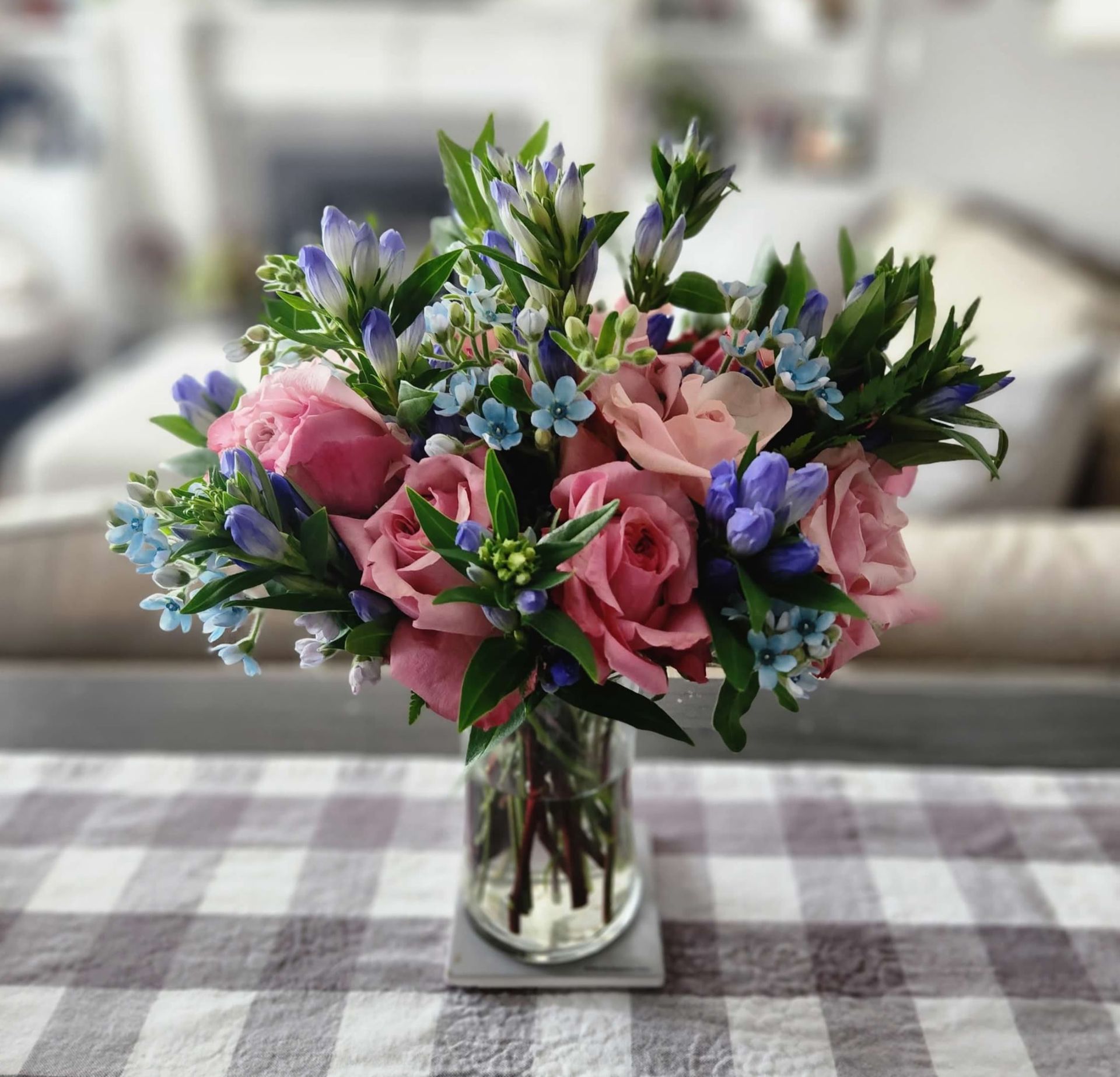 Blue & Pink Love Bird