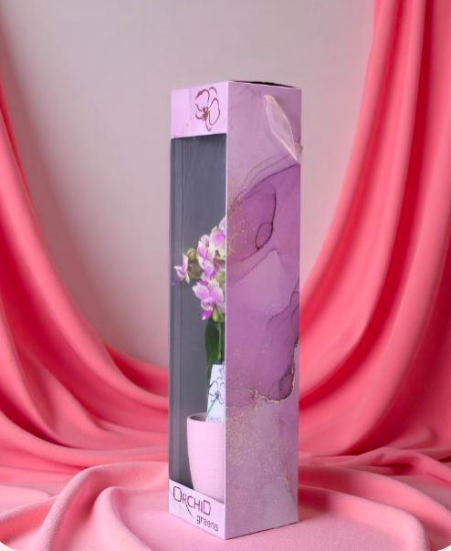 Mother's Day Orchid in Gift Box