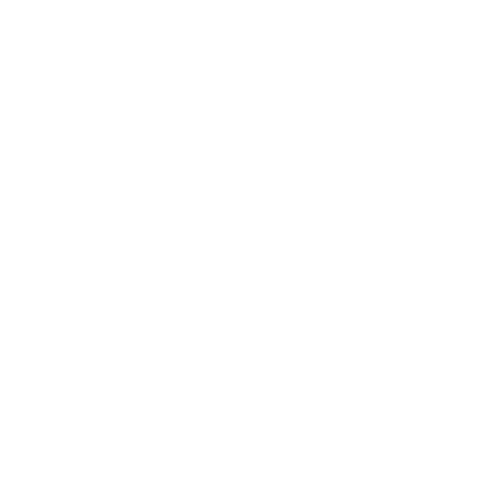 RACO Properties Logo - footer, go to homepage