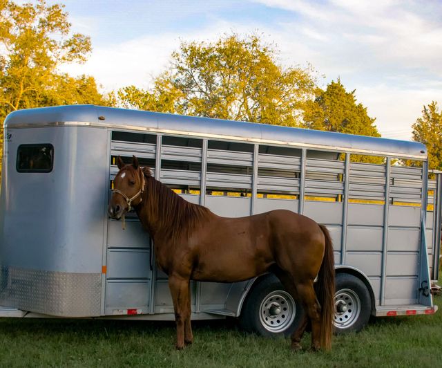 Camping Trailer Repair Near Me Ontario, CA