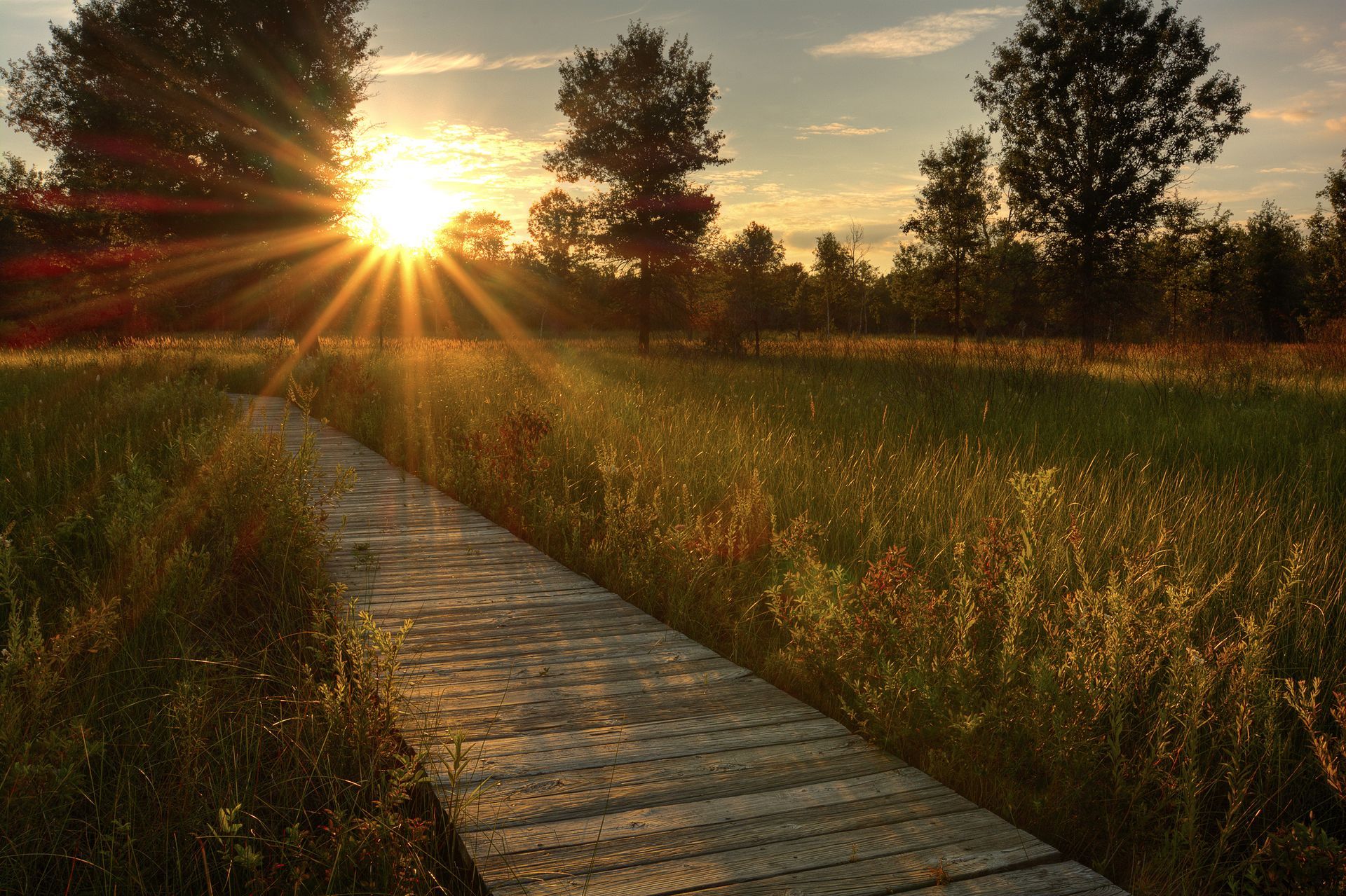 Wooden boardwalk through a grassy field at sunset, sunburst through trees.