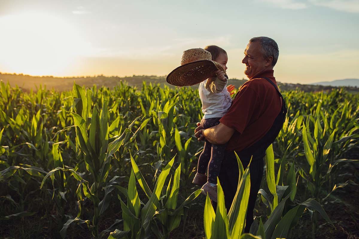 Man holding child in a cornfield at sunset.