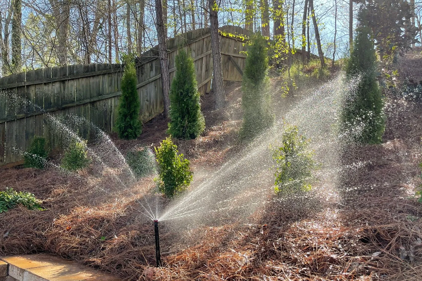 Smart irrigation sprinkler watering newly planted evergreens on a mulched hillside.