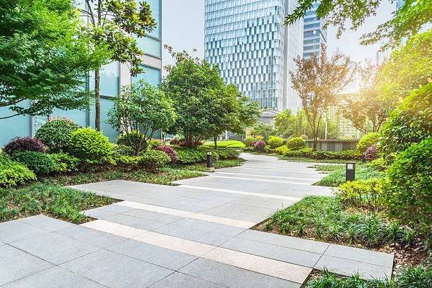 A walkway in a park with trees and bushes in front of a building.