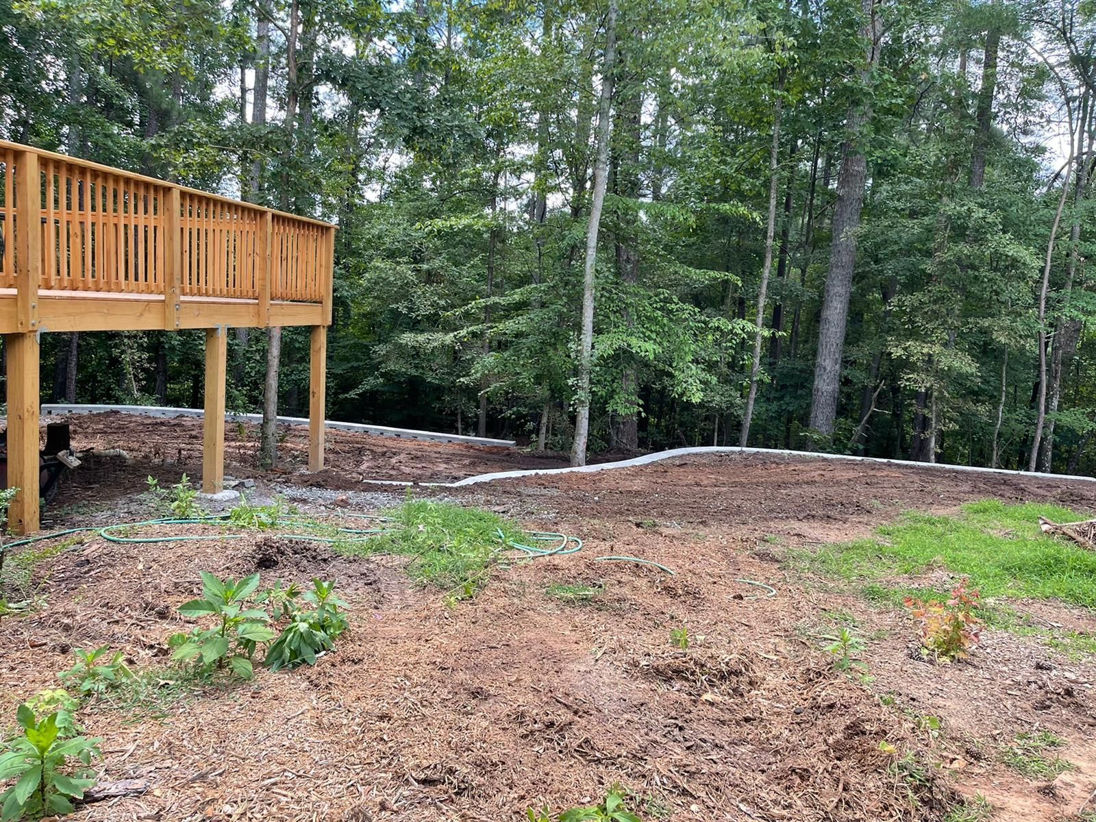 There is a wooden deck in the middle of the woods.