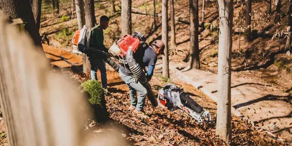 A group of people are cutting trees in the woods.