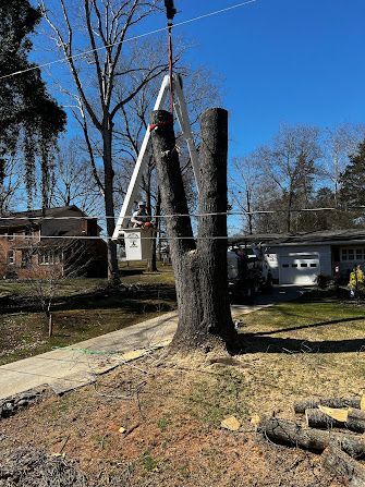A tree stump is being lifted by a crane in a yard.