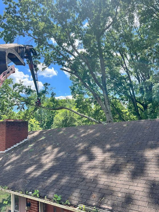 A crane is cutting a tree on the roof of a house.