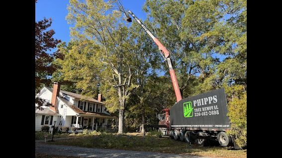 A crane is cutting a tree in front of a house.