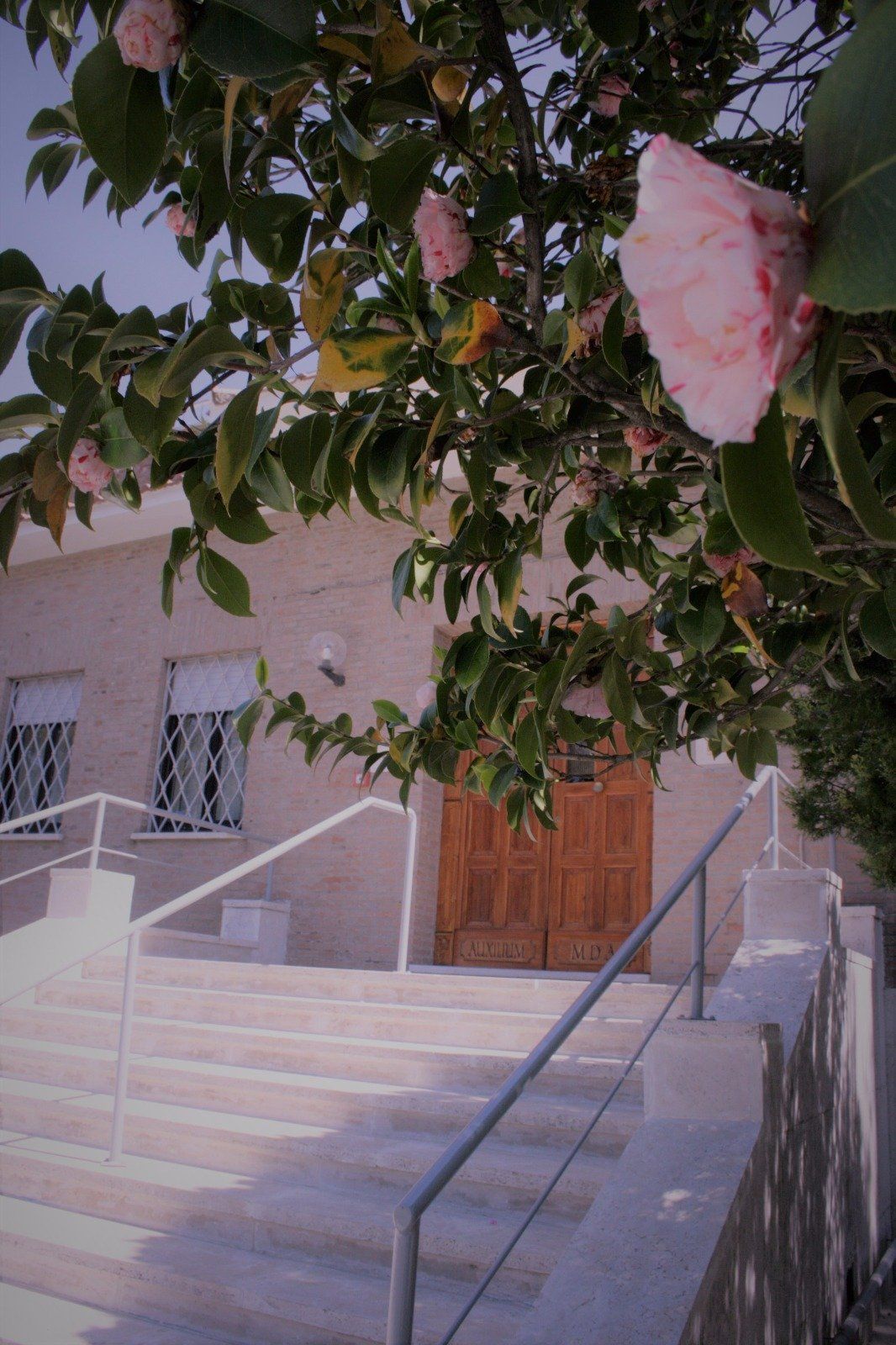 La struttura foto 15